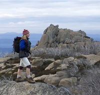 Mount Buffalo National Park - Accommodation QLD
