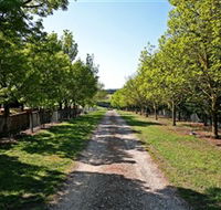 Waybourne Winery - Accommodation QLD