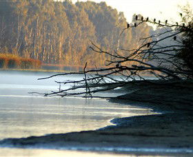 Barmah National Park - Accommodation QLD 0