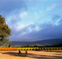 Mount Avoca - Accommodation QLD