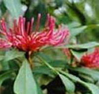 Alfred National Park - Accommodation QLD