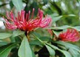 Alfred National Park - Accommodation QLD 0