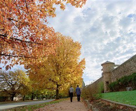 Beechworth Historic And Cultural Precinct - Accommodation QLD 0