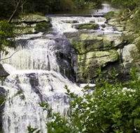 Agnes Falls Scenic Reserve - Accommodation QLD