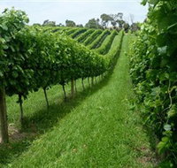 The Cups Estate - Accommodation QLD