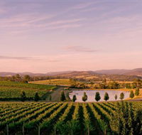 Oakridge Wines - Accommodation QLD