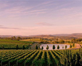 Oakridge Wines - Accommodation QLD 0