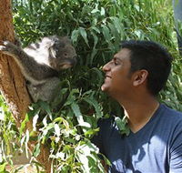 Healesville Sanctuary - Accommodation QLD