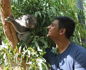 Healesville Sanctuary - Accommodation QLD 0