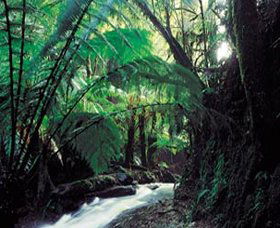 Lavers Hill VIC Accommodation QLD