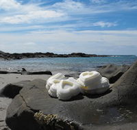 Calma Candles - Accommodation QLD
