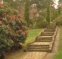Maroondah Reservoir Park - Accommodation QLD