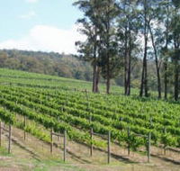 Piedmont Vineyard - Accommodation QLD