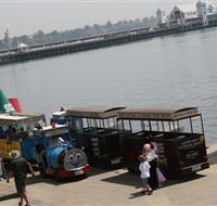 Waterfront Train Tours and Bungy Trampoline - Accommodation QLD