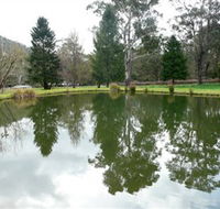 Mountain Fresh Trout and Salmon Farm - Accommodation QLD