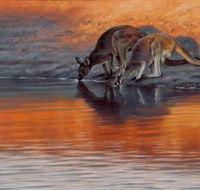 Steve Morvell Wildlife Art - Accommodation QLD
