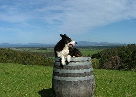 Foster VIC Accommodation QLD
