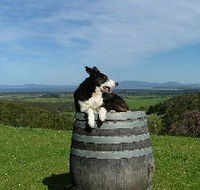Windy Ridge Vineyard and Winery - Accommodation QLD
