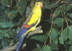 Lake Hindmarsh Reserve - Accommodation QLD 0