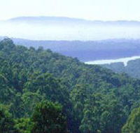Kalorama Park - Accommodation QLD
