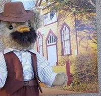 Stanley Bears - Accommodation QLD
