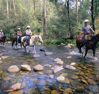Howqua Hills Historic Area - Accommodation QLD