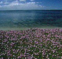 The Lakes National Park - Accommodation QLD