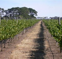 Mount Beckworth Wines - Accommodation QLD