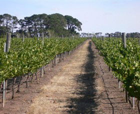 Mount Beckworth Wines - Accommodation QLD 0