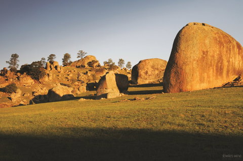 Fowles Wine - Accommodation QLD 3