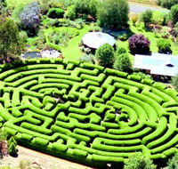 Wandiligong Maze - Accommodation QLD