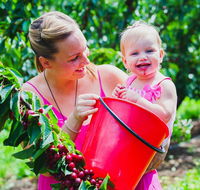 Cherryhill Orchards - Accommodation QLD