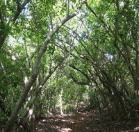 Eucalypt Trail - Accommodation QLD