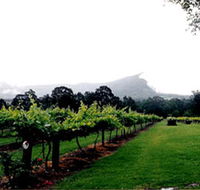 Cambewarra Estate Wines - Accommodation QLD