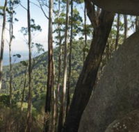 Gulaga National Park - Accommodation QLD