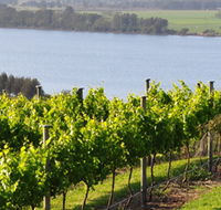 Two Figs Winery - Accommodation QLD