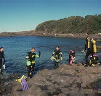 Bushrangers Bay Aquatic Reserve - Accommodation QLD