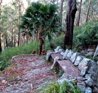 Wodi Wodi Walking Track - Accommodation QLD