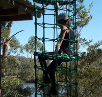 Trees Adventure Shoalhaven - Accommodation QLD