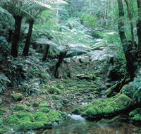 Deua National Park - Accommodation QLD