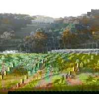 Tilba Valley Wines - Accommodation QLD