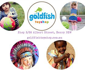 Goldfish Toy Shop - Accommodation QLD 0