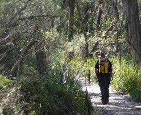 Barren Grounds Nature Reserve - Accommodation QLD 0