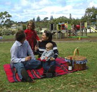 Blackbutt Forest Reserve - Accommodation QLD