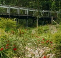 Eurobodalla Botanic Gardens - Accommodation QLD