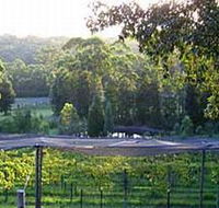 Lyrebird Ridge Organic Winery - Accommodation QLD