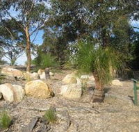 Curtis Park Arboretum - Accommodation QLD