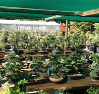 Bonsai at the Bay - Accommodation QLD