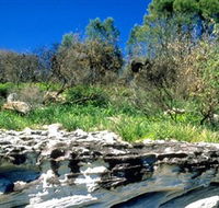 Abrahams Bosom Reserve - Accommodation QLD