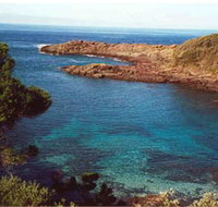 Bass Point Reserve - Accommodation QLD